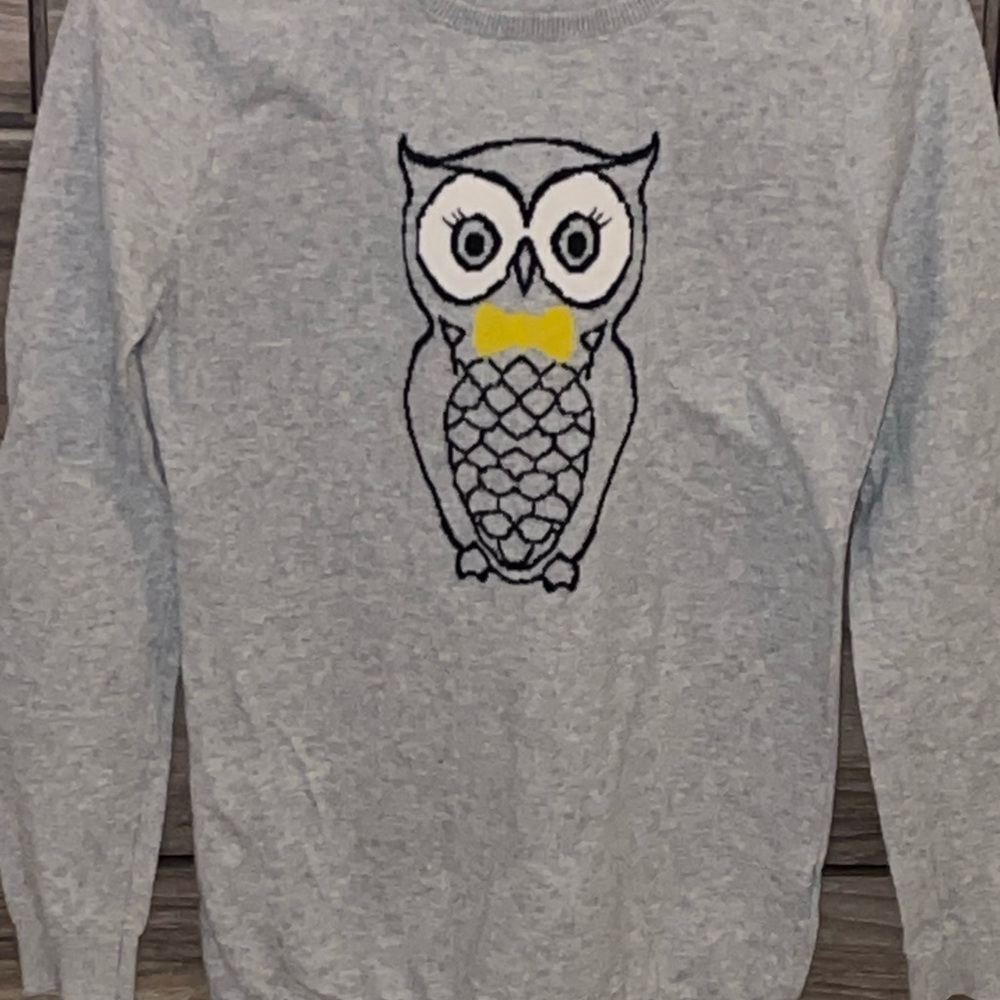 Gray Owl Sweater